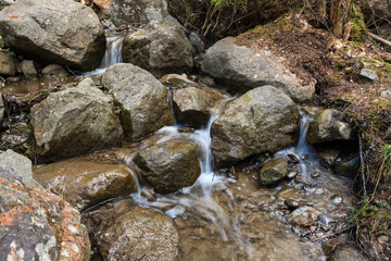 Small stream and rocks at spring forest
