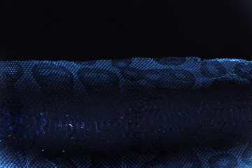 jacket cast-off skin of snake Royal Python on a white background. computer processing, inversion