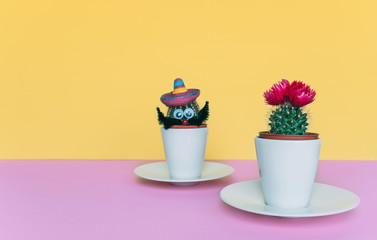 Small cactus in a flowerpot on a trendy background.