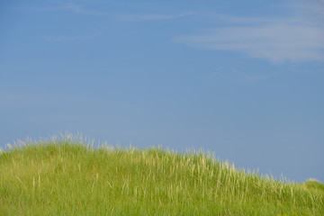 Fototapeta na wymiar The grass covered dunes in and around Cavendish Prince Edward Island
