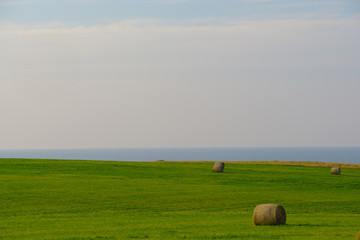 Obraz premium Fertile farms and large hay bales sit at the edge of the land on Prince Edward Island