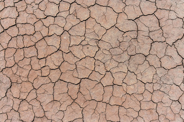 Cracked and dried mud background