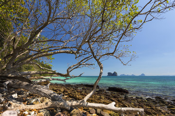 Beautiful beach at Koh Ngai island