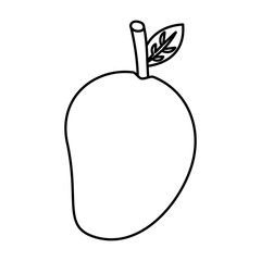 mango fruit nutrition diet fresh healthy lifestyle  vector illustration outline design
