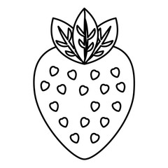 strawberry fruit nutrition diet fresh healthy lifestyle  vector illustration outline design