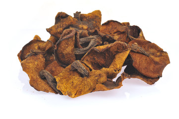 White background of the mushroom