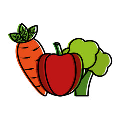 vegetables food healthy lifestyle bell pepper carrot broccoli vector illustration