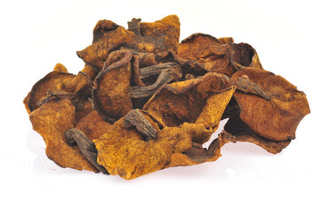 White background of the mushroom