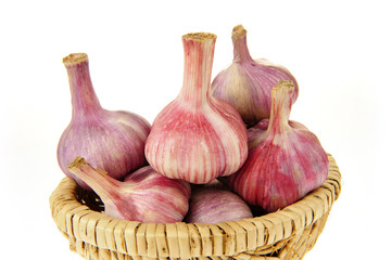 Garlic isolated on white background