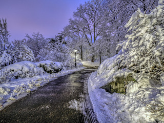 Central Park, New York City