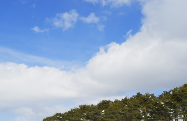 Obraz premium 冬 木 空 雲 素材