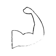 sport arm stronge muscle gym symbol vector illustration sketch image