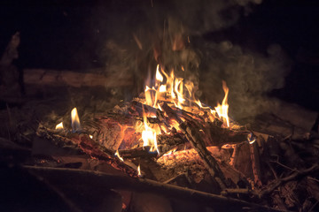 Camp Fire and Wood 