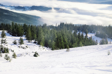 Ski slope at snowy resort on winter day