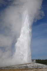 Old Faithful - Yellowstone National Park