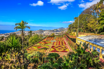 Colorful geometric flower beds in the botanical garden of Funchal, Madeira with cityscape and ocean...