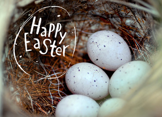 Real little eggs in a straw nest. The concept of Easter. Inscription Happy Easter. Selective focus.
