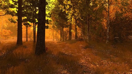 Autumn forest 002