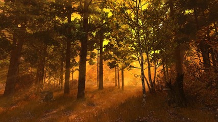 Fototapeta premium Autumn forest 004