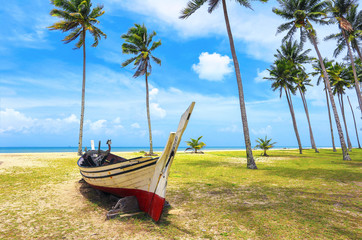 Fototapeta na wymiar Palm and tropical beach. Beautiful nature landscape with Coconut Palm trees, traditional boat on white sandy beach
