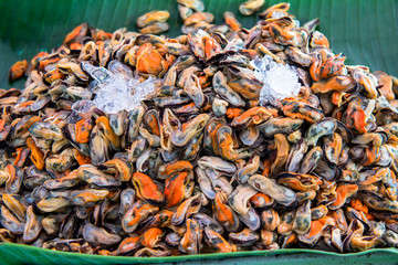 Chilled shellfish in the market.