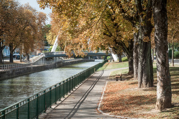 autumnal Aesculus hippocastanum in border channel in Mulhouse