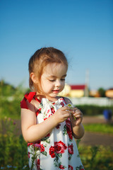 cute girl in summer dress collects wildflowers. beautiful child walks in nature.