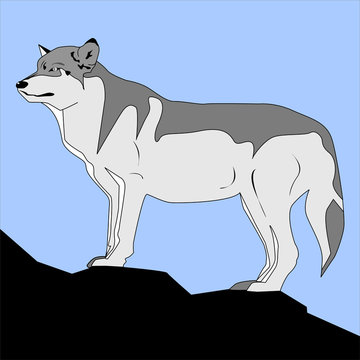 Dire Wolf