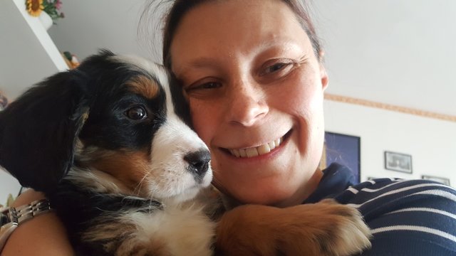 ragazza con cucciolo bovaro bernese