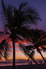 Fototapeta premium People on beach watching sunset