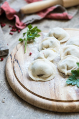 dumplings with meat