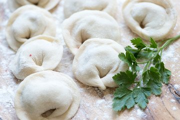 dumplings with meat