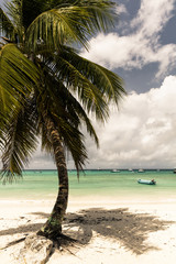 Empty tropical beach with fishing boats and palm trees