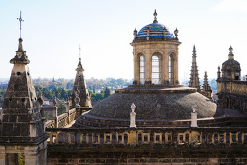 Fototapeta na wymiar Details of Seville Cathedral roof, Spain