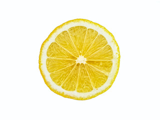 Zitronenscheibe  - freigestellt