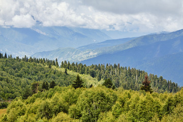 landscape with green meadows.