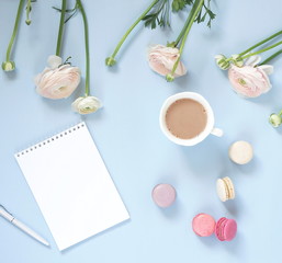 cup of cocoa, macaroons cookies colorful in pastel colors , delicate pink ranunculus flowers and notebook on a pale blue background. Top view. Flat lay. Copy space