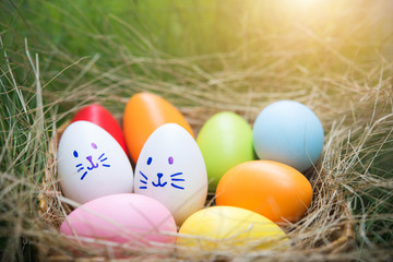 Colorful Easter eggs in the basket on grass field