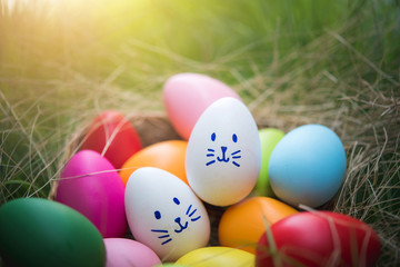 Fototapeta na wymiar Colorful Easter eggs in the basket on grass field