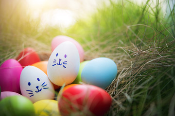 Colorful Easter eggs in the basket on grass field