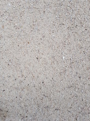 Fondo de arena gris, pequeñas hierbas secas