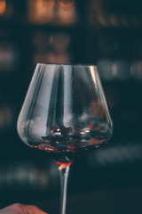 Taste Red Wine Glass - Close Up view