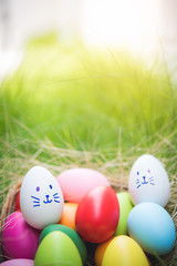 Colorful Easter eggs in a basket on green grass field 