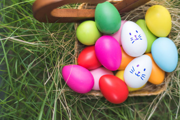 Fototapeta na wymiar Colorful Easter eggs in a basket on green grass field 