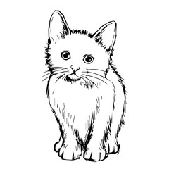 Fototapeta premium cat hand drawn