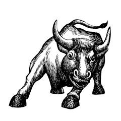 freehand sketch illustration of charging bull