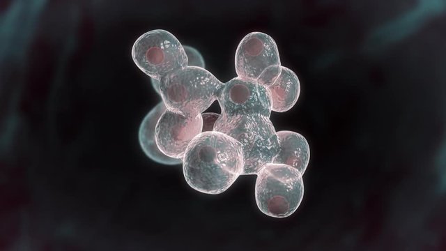Mitosis or Cellular division and excessive growth of some cell like lifeform. Stylized Animation