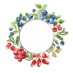 watercolor berry frame