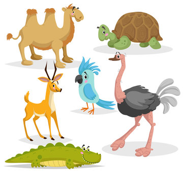 African animals cartoon set. Gazzelle anthelope, crocodile, bactrian camel, big african turtle, parrot and ostrich. Zoo wildlife collection. Vector illustrations isolated on white background.
