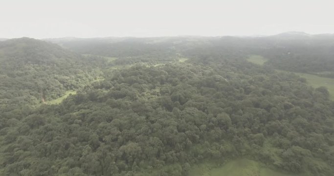 A cinematic aerial view of lush green fields and misty clouds.
